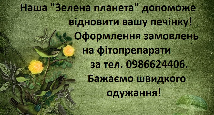 Індивідуальні огляди я завжди починаю з "дослідження" печінки... От я визнаю панування саме цього органу над іншими)) У нашій "Зеленій планеті" постійно у достатній кількості є печінкові фітопрепарати.