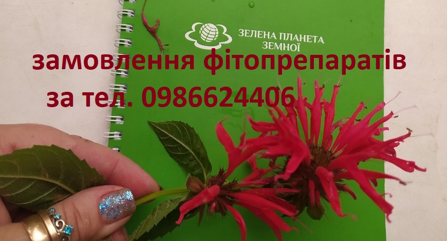 Ліжко--як зарядний пристрій для людей)))) І часто буває, що людина "прив'язана" до цього зарядного пристрою, скаржиться, що сил нема, ніц не хочеться робити, ото тільки лежати і фейсбук листати.