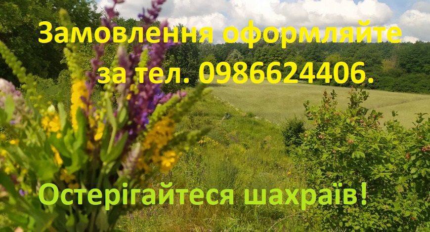 Не довіряйте одноразовим рекламним роликам на теренах інтернету!!!!  Щодня дзвінки-дзвінки-дзвінки… От технології дійшли до того, що шахраї вже й голос підробляють, не тільки фото Наталі Петрівни на свої сайти-одноденки ліплять…