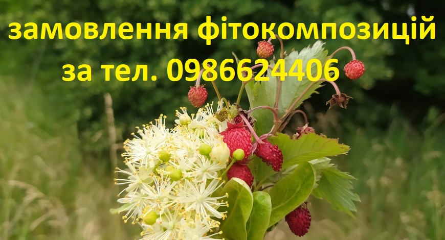 Пора заготівлі п’янкої липи! Бджоли свою справу знають, то і ми  ґав не ловімо!. .  Особливо жінкам вона корисна. 