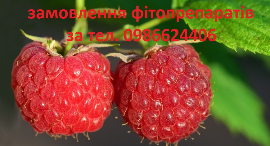 Жартуємо)))) В 45 баба ягідка оп'ять))))))  Природа завжди допомагала жінці почуватися добре, і особливо у клімакс потрібна підтримка цілющих рослин.