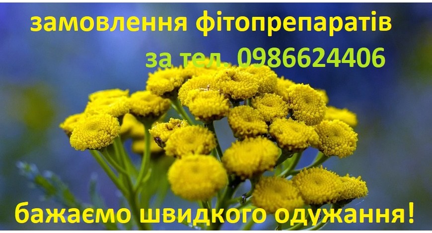 Згадаємо Прометея, бо у даній історії є доля правди. Печінка відновлюється, правда не за ніч, як у Прометея, але з місяця в місяць, з року в рік.